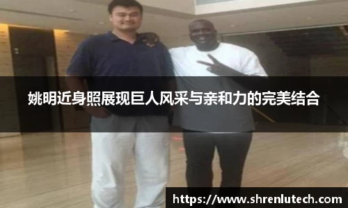 k1体育官方网站