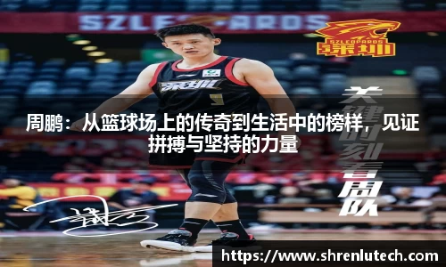 k1体育网页版